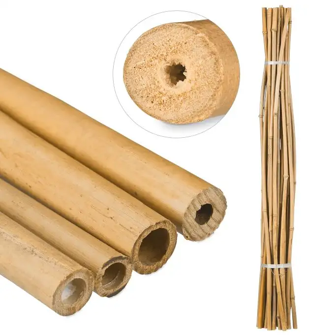 Bambupinnar 150 cm