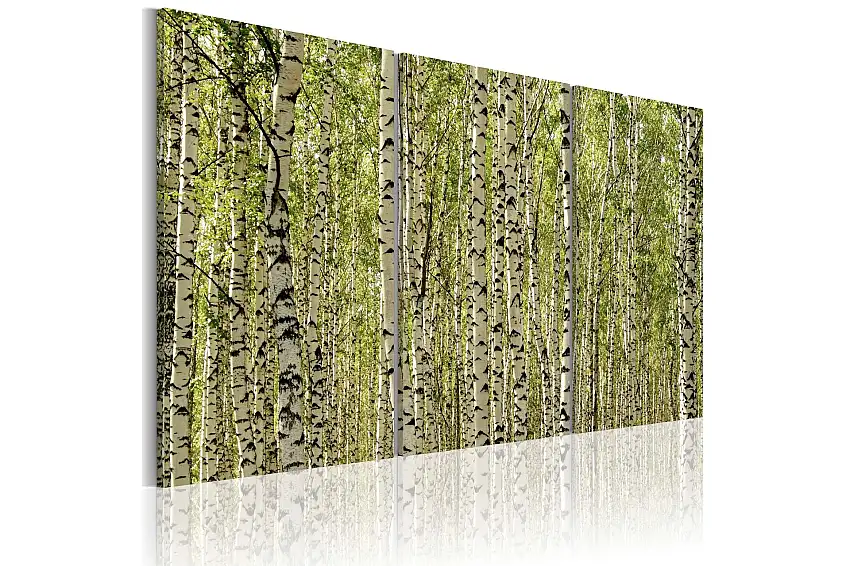 Tavla A forest of birch trees 60x40