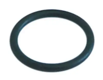 O-ring EPDM Materialtjocklek 262mm ID ø 2024mm