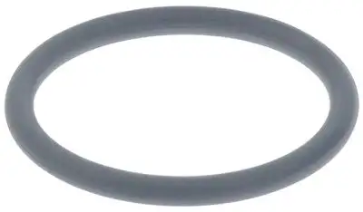 O-ring Materialtjocklek 55mm ID ø 53mm grå