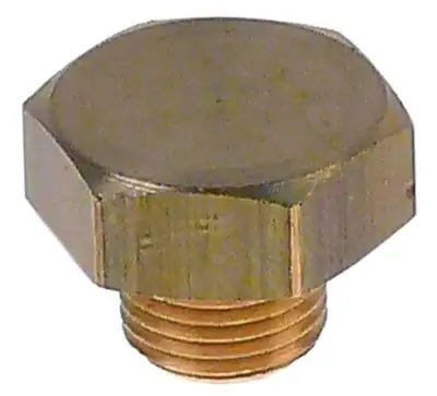 Skruvhätta Gänga 1/8" SW 16