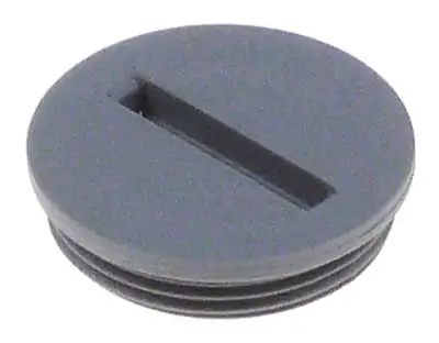 Blindmunstycke M20 för rengöring