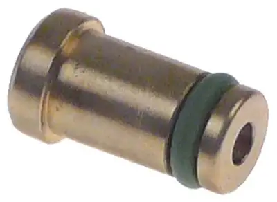 Backventil Mässing L 163mm till påfyllningsventil