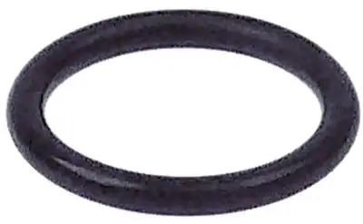 O-ring EPDM Materialtjocklek 24mm ID ø 163mm
