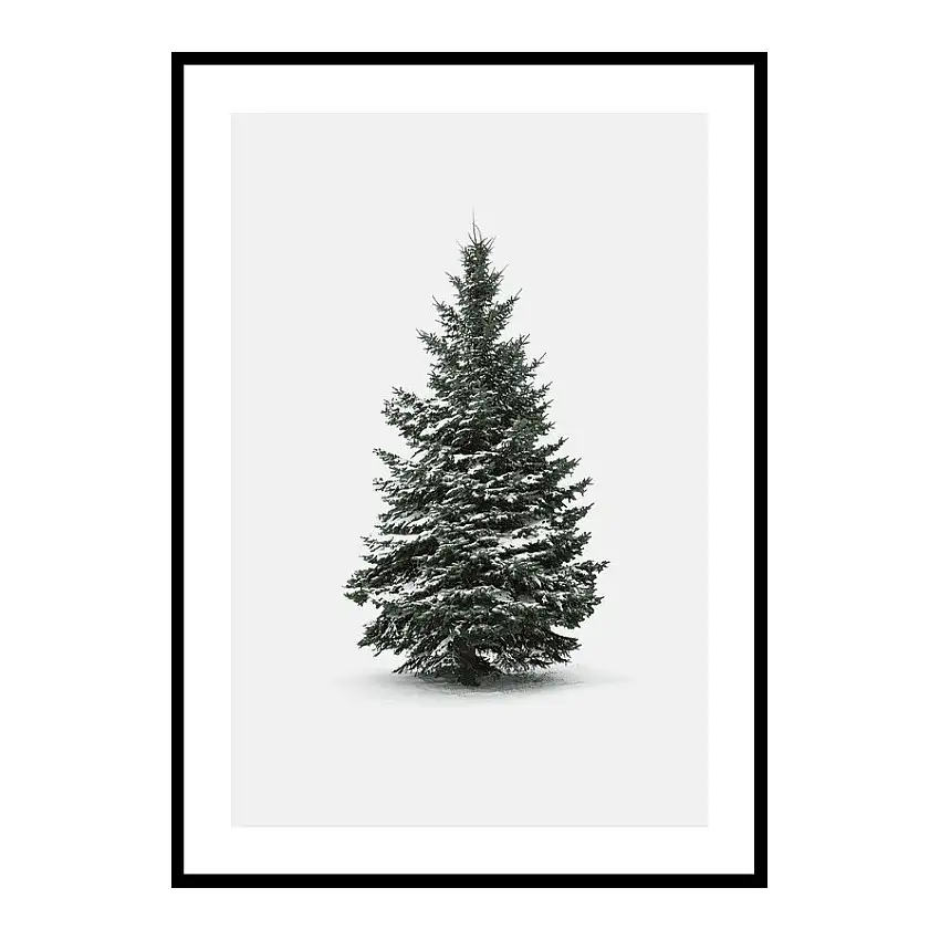Poster GallerixWinter Botany No4Storlek: 70x100 cm