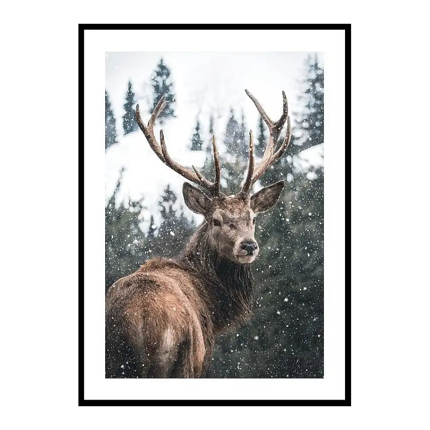 Poster GallerixWinter Landscape Deer