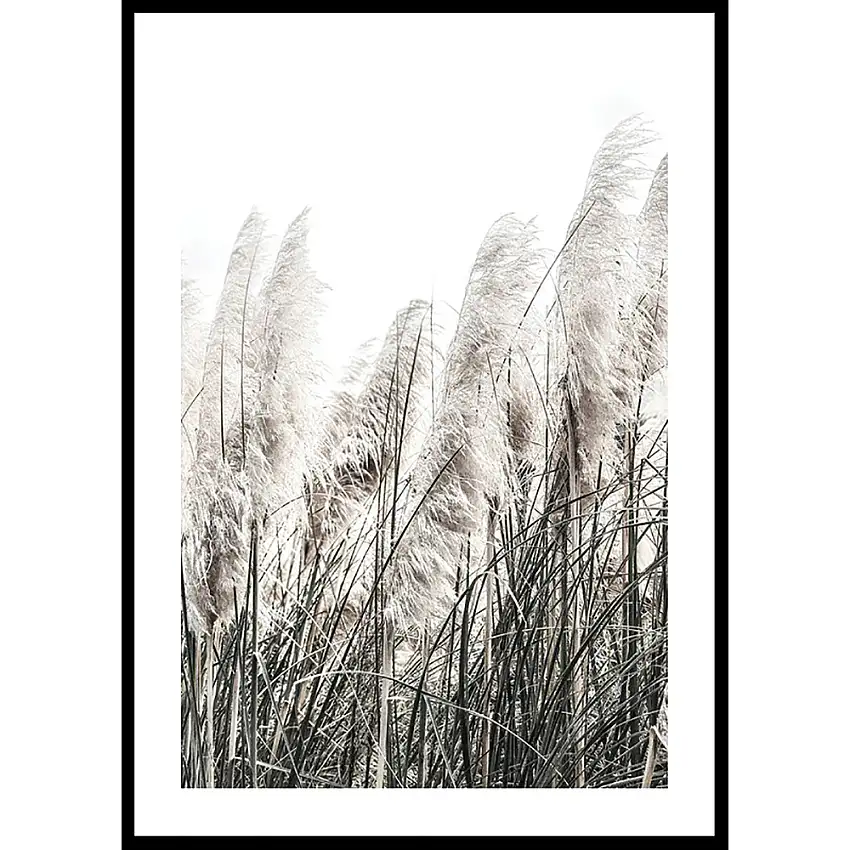 Poster GallerixWild Grass Tall