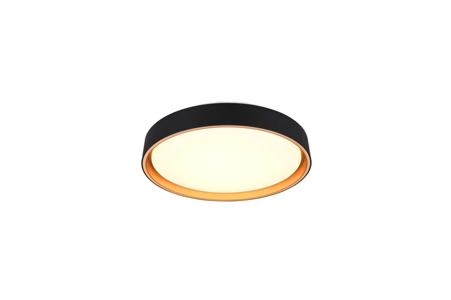 Trio Lighting Taklampa TRIO Felis