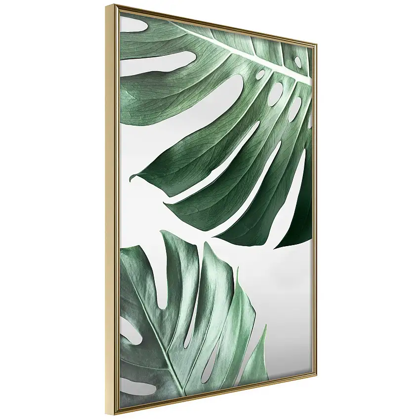 Poster ArtgeistAffisch Monstera LeavesGuld ram, 40x60 cm