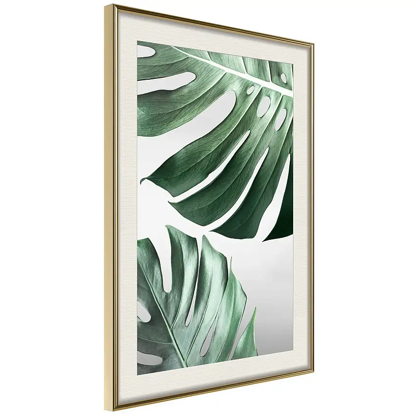 Poster ArtgeistAffisch Monstera LeavesGuld ram med passepartout, 40x60 cm