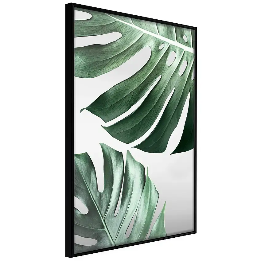 Poster ArtgeistAffisch Monstera LeavesSvart ram, 30x45 cm