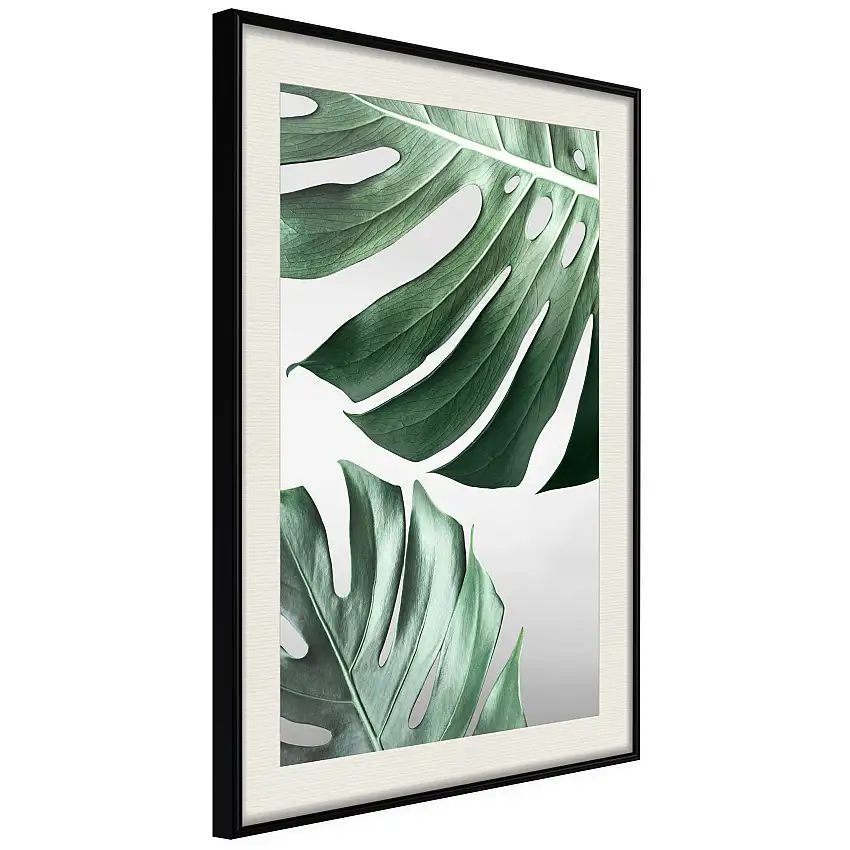 Poster ArtgeistAffisch Monstera LeavesSvart ram med passepartout, 20x30 cm