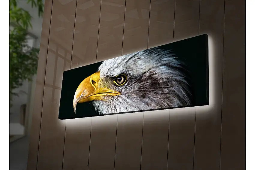 Canvastavla med LED-belysning 30x90 cm - Storslagen örn med detaljerad fjäderdräkt
