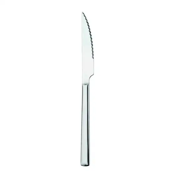 Grillkniv Synthesis 225mm Pintinox
