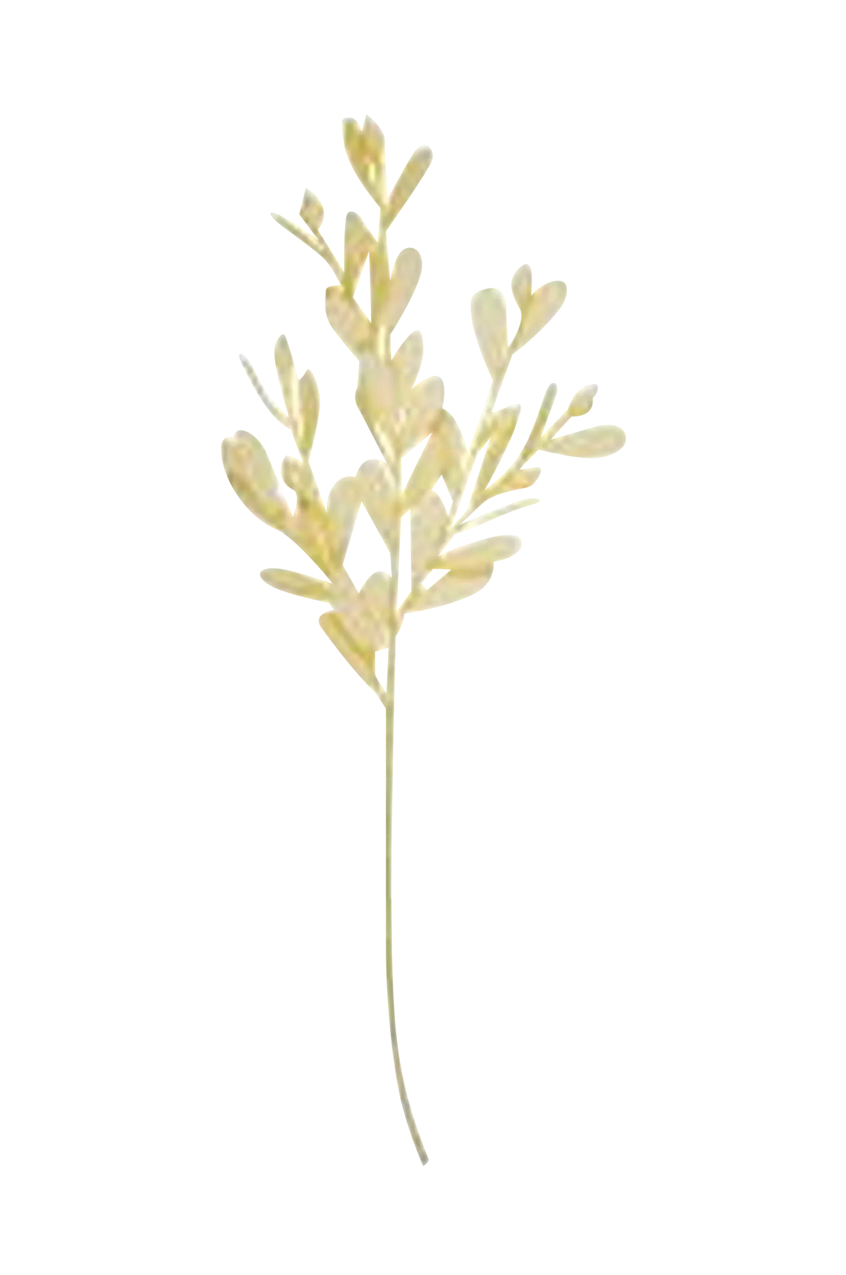 Dekoration blomma Kalamata