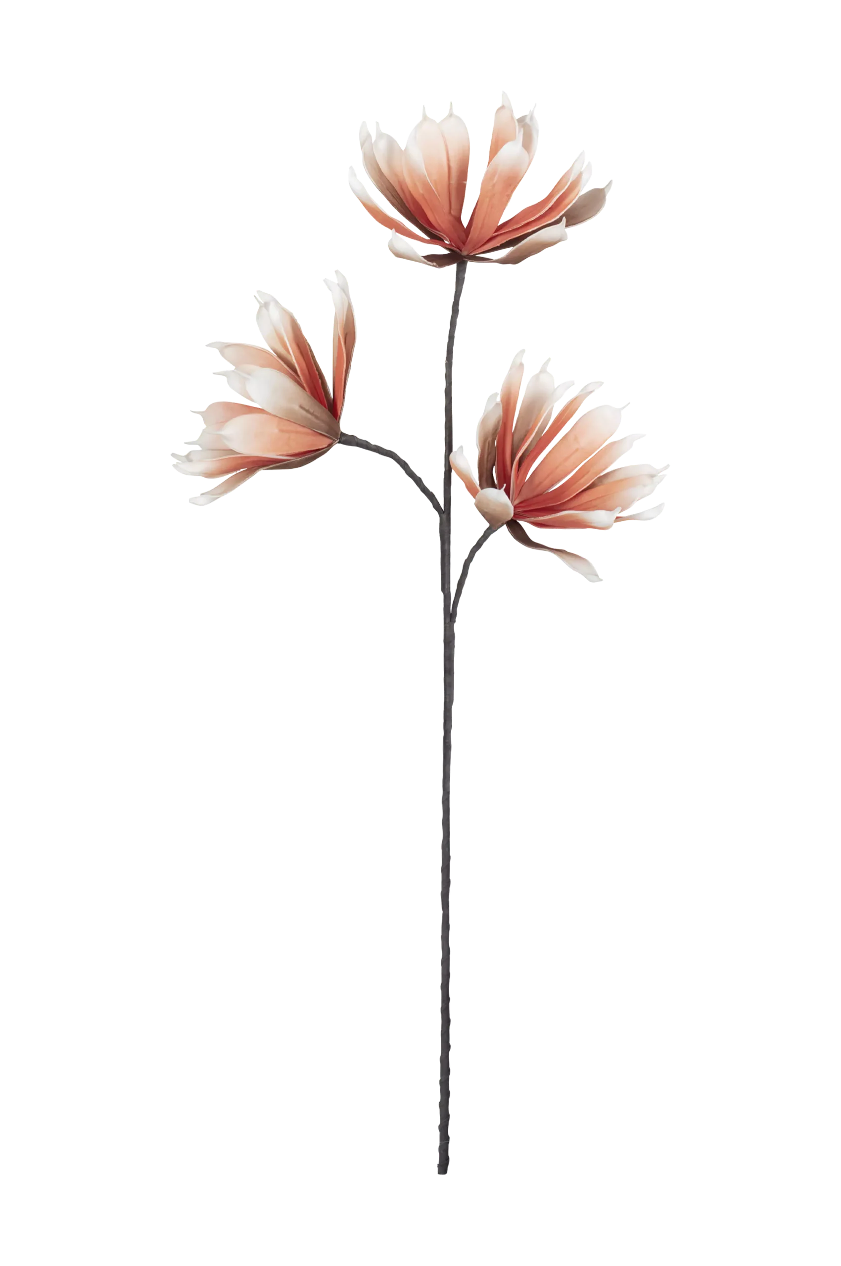 Dekoration blomma Santiago