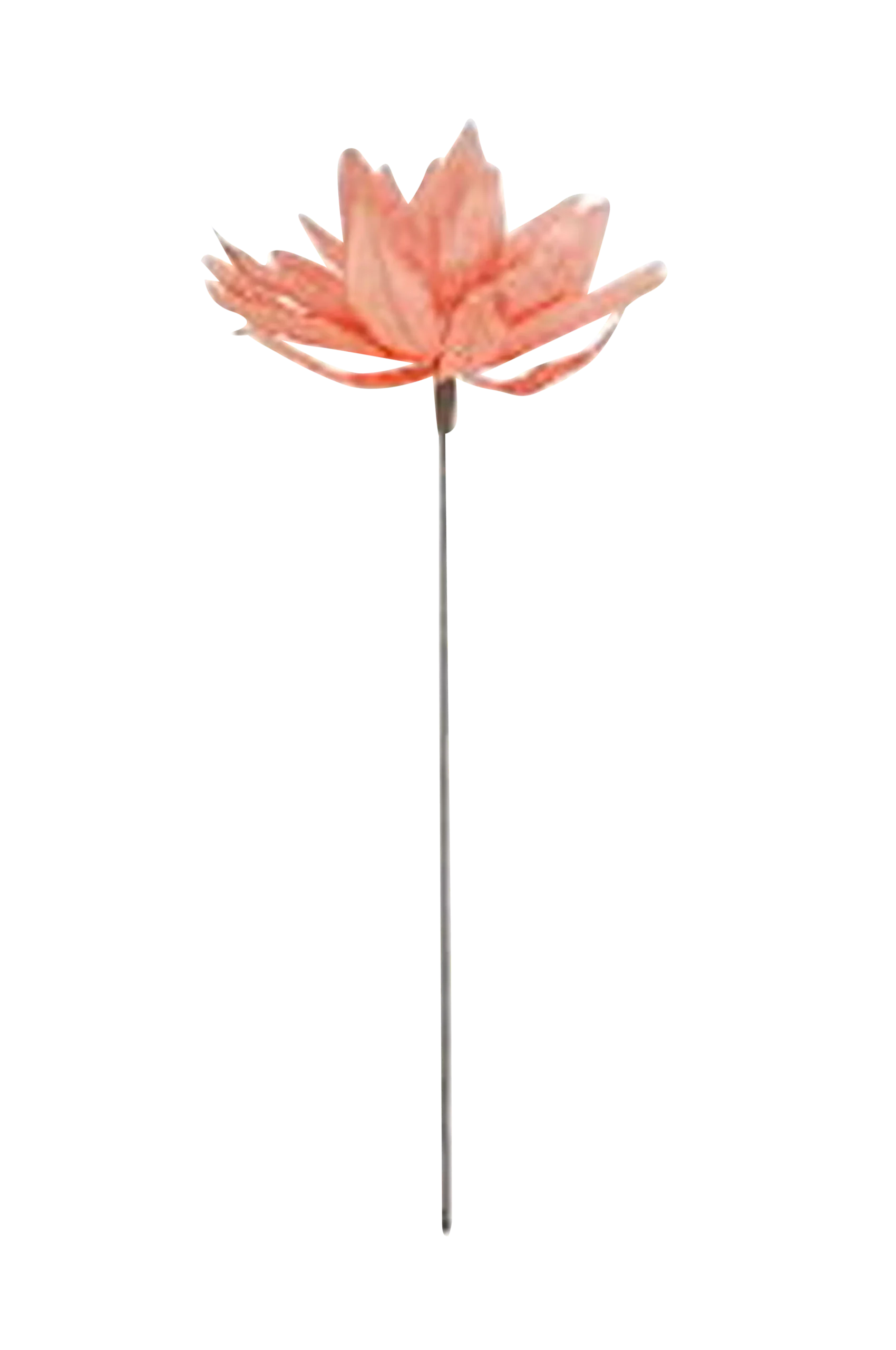 Dekoration blomma Opalia
