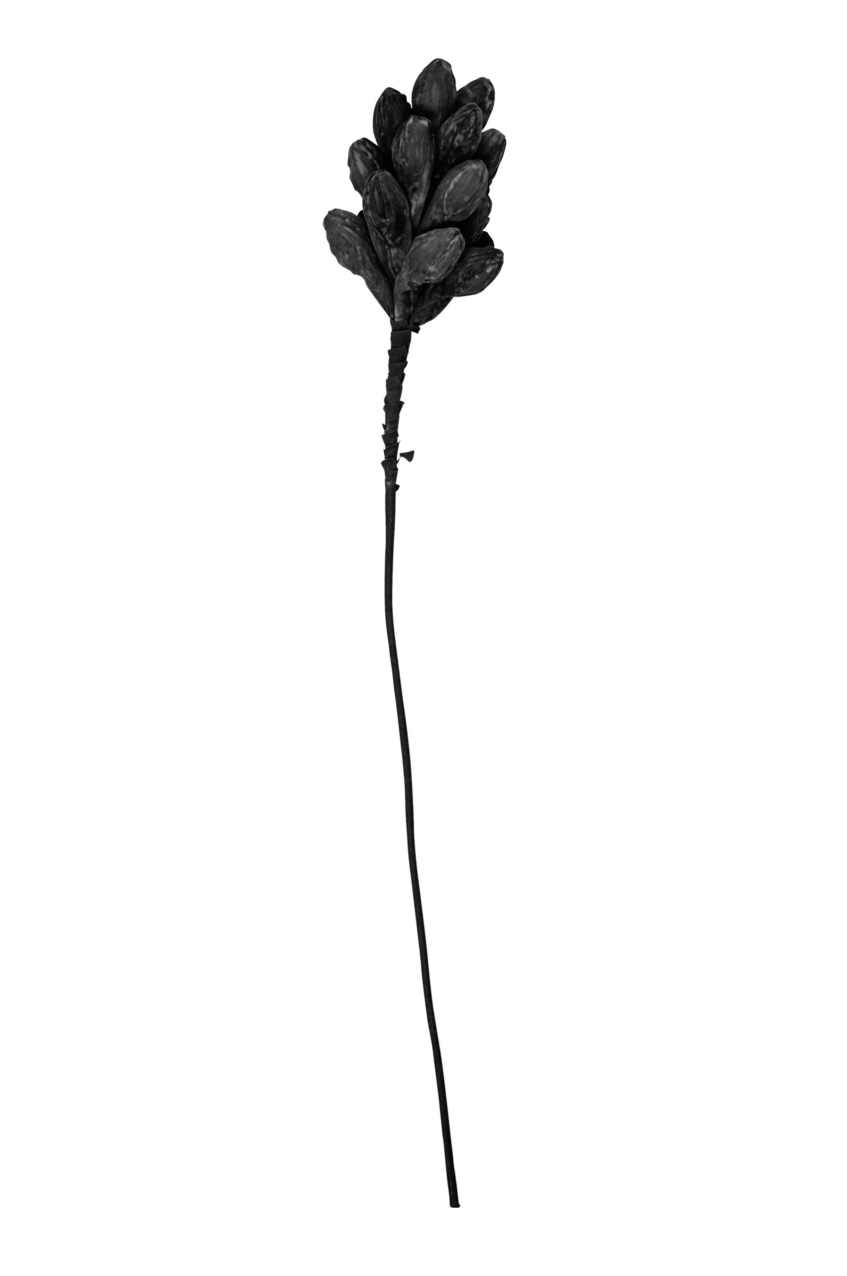Dekoration blomma Vera