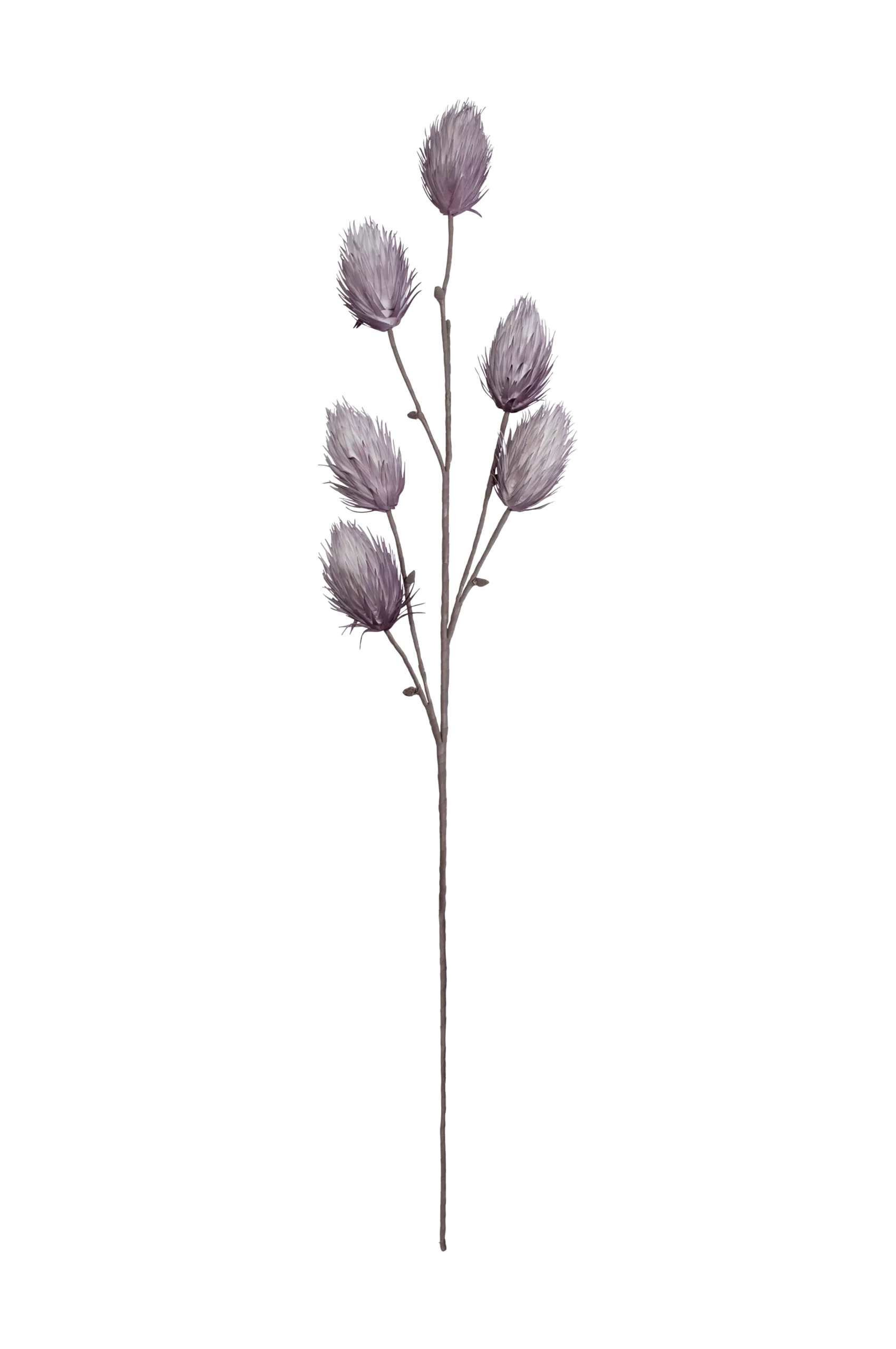 Dekoration blomma Verdi