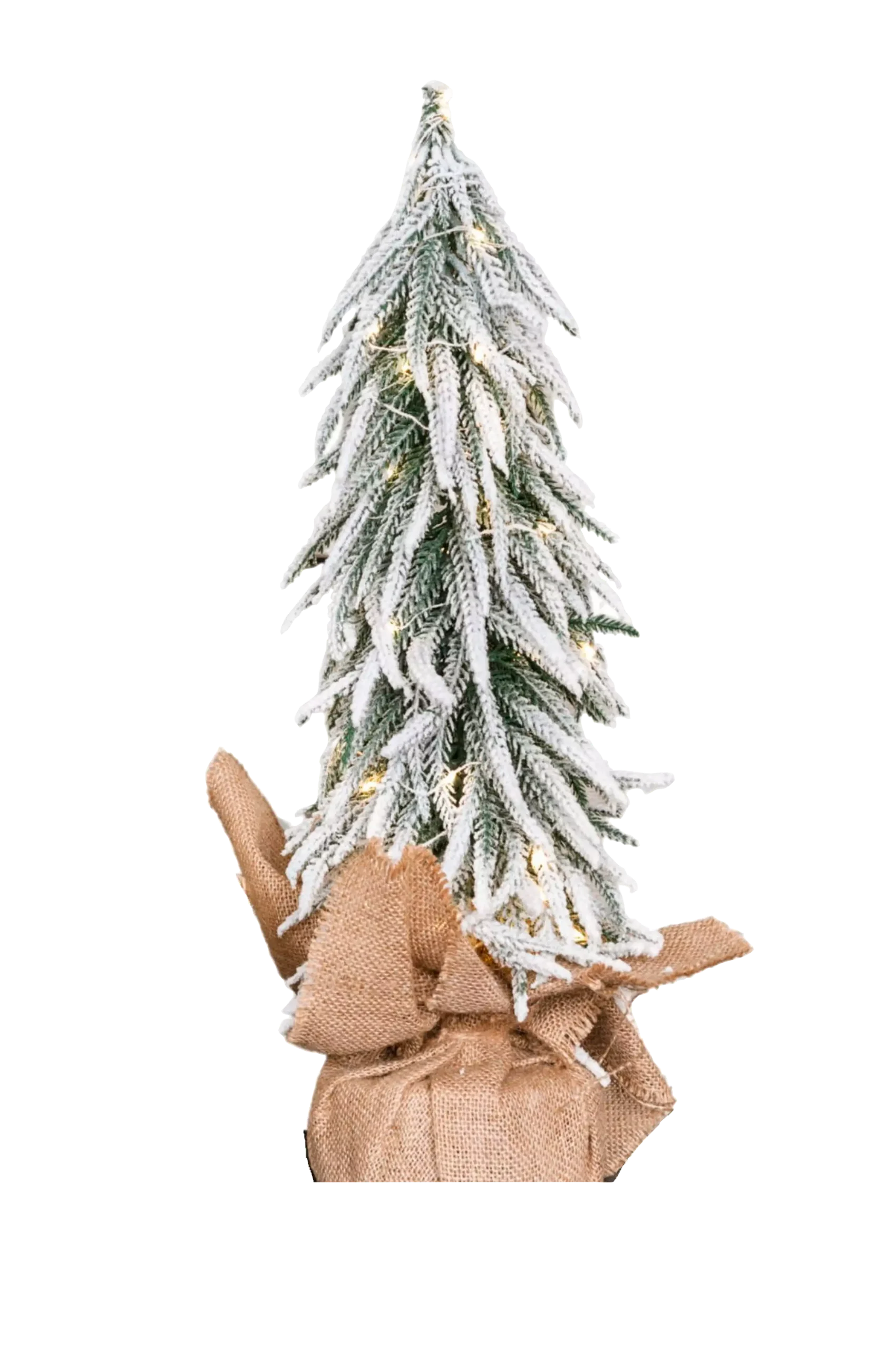 Christmas Tree Aspen Grand