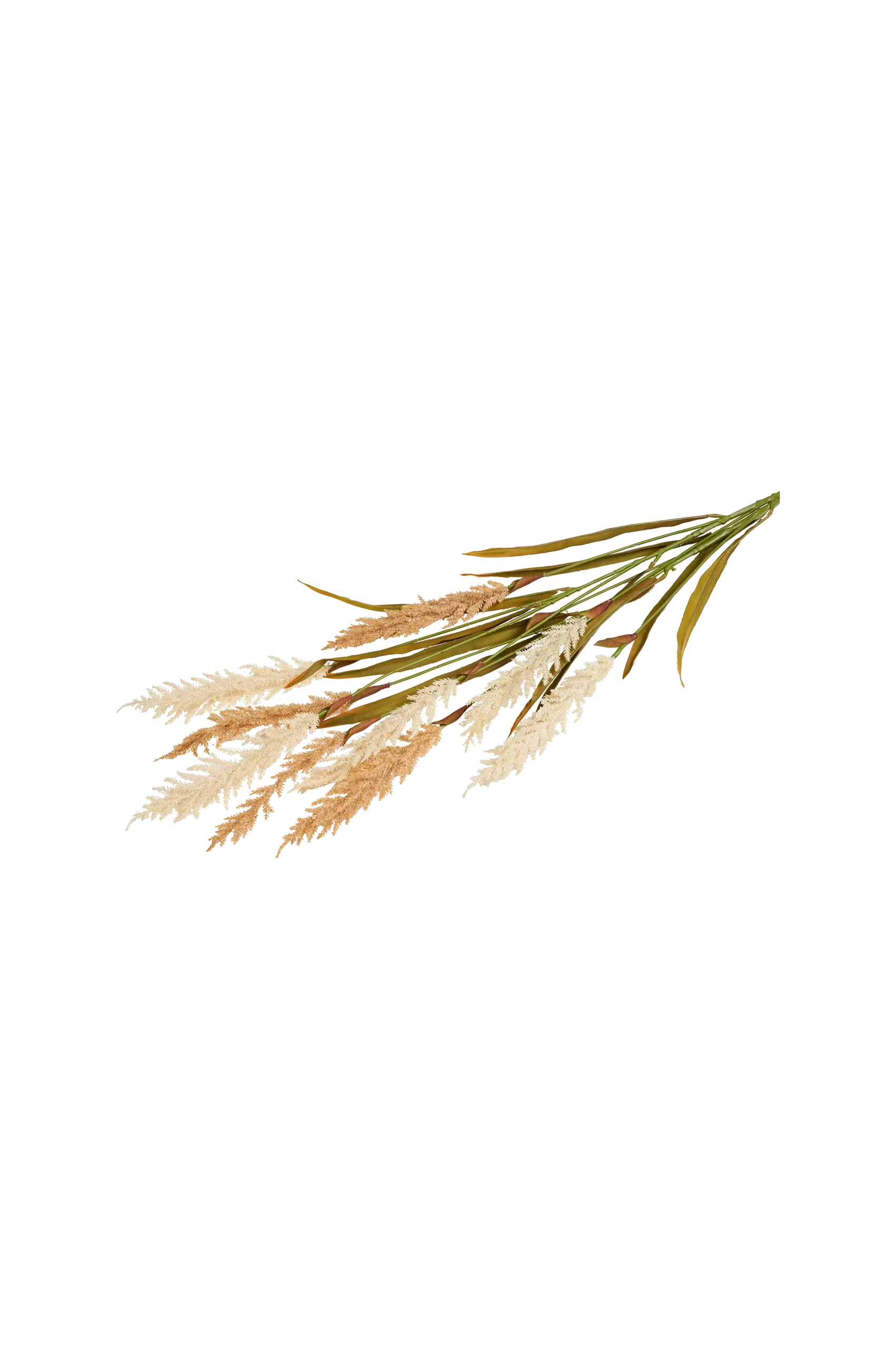 Dekorativa, Grass