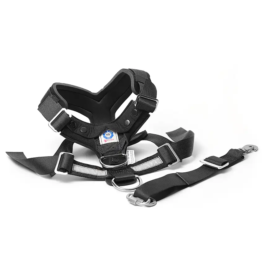 Hundsele MIMAllSafe L
