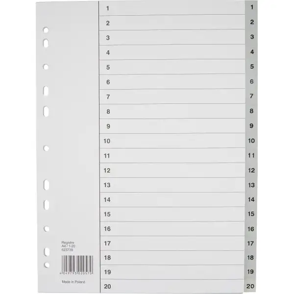 Register Budget A4 1-20 Plast