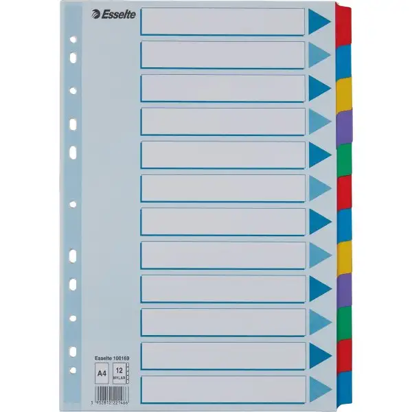 Register Esselte A4 12 flikar