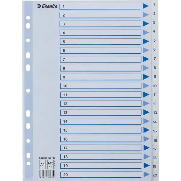 Register Esselte A4 1-20 Plast Vit