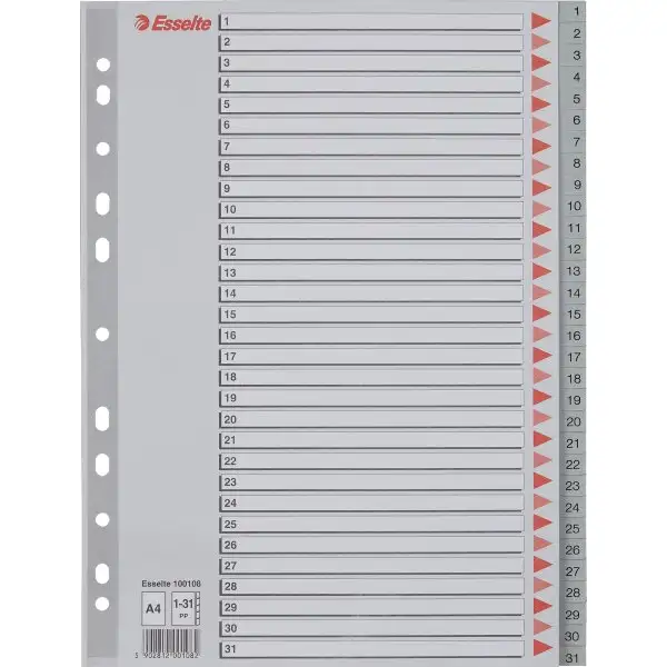 Register Esselte A4 1-31 Plast Grå