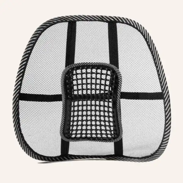 Swedish Posture Ergonomiskt svankstöd
